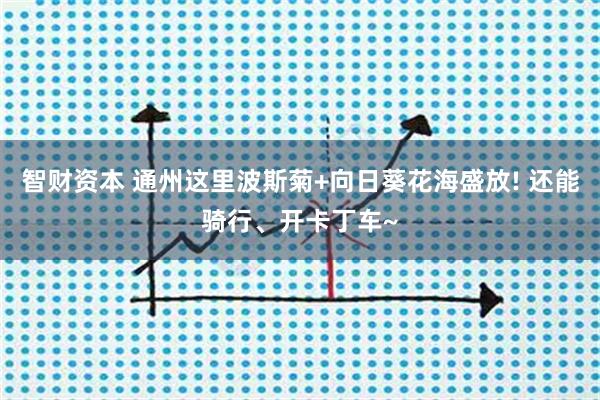 智财资本 通州这里波斯菊+向日葵花海盛放! 还能骑行、开卡丁车~