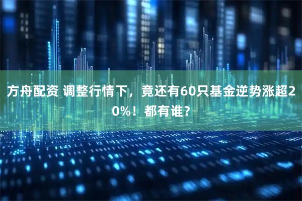 方舟配资 调整行情下,竟还有60只基金逆势涨超20%!都有谁?